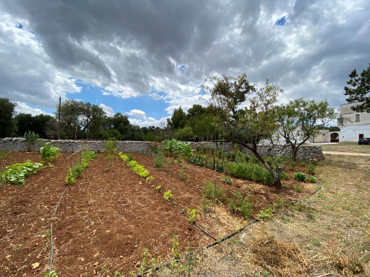 Masseria Cervellera Apartment เชจลีเมสซาปิกา ภายนอก รูปภาพ