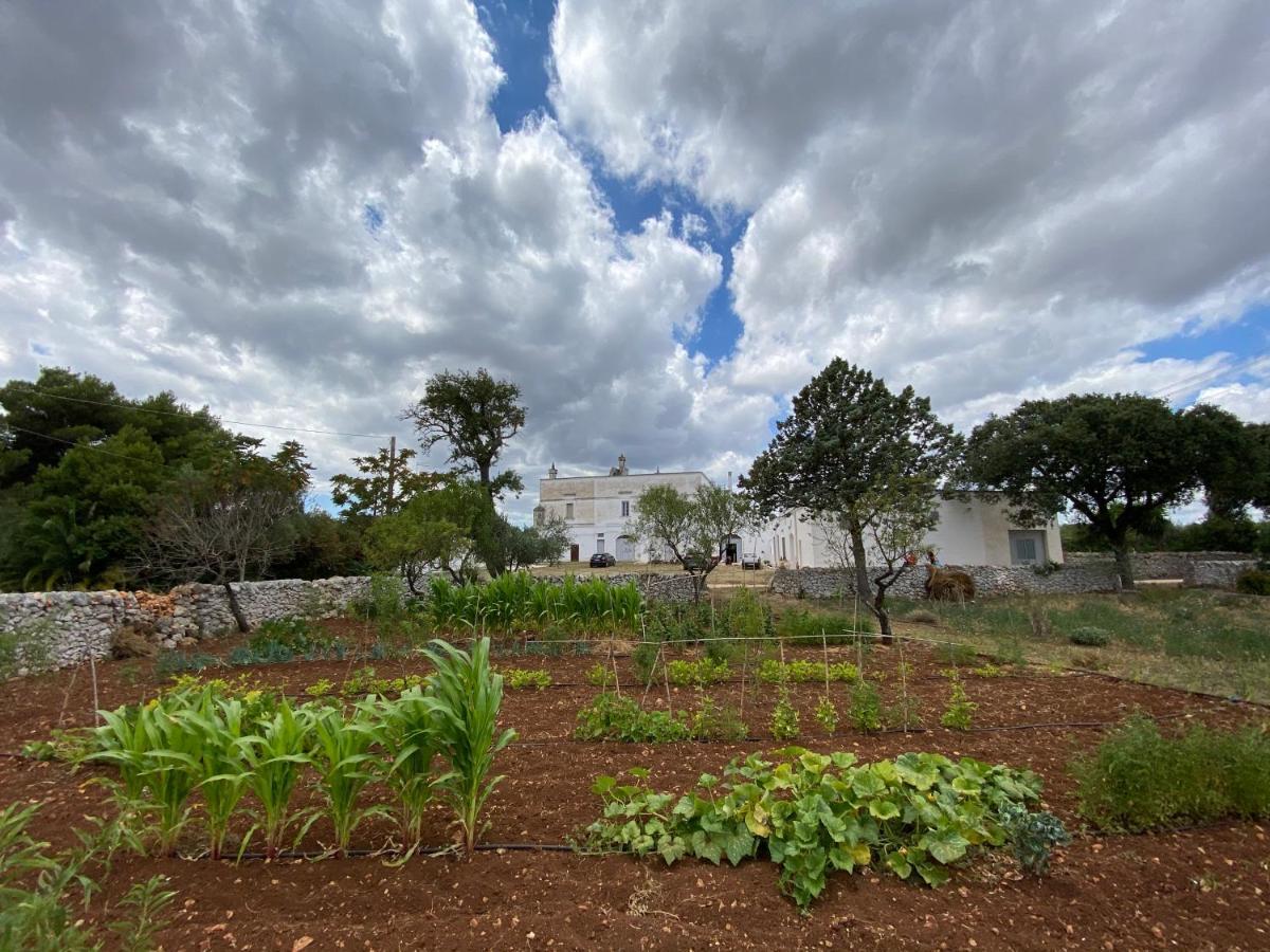 Masseria Cervellera Apartment เชจลีเมสซาปิกา ภายนอก รูปภาพ
