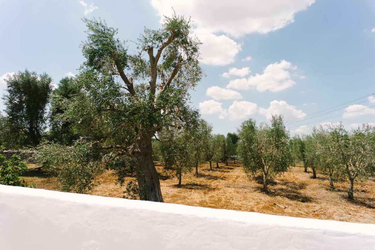 Masseria Cervellera Apartment เชจลีเมสซาปิกา ภายนอก รูปภาพ