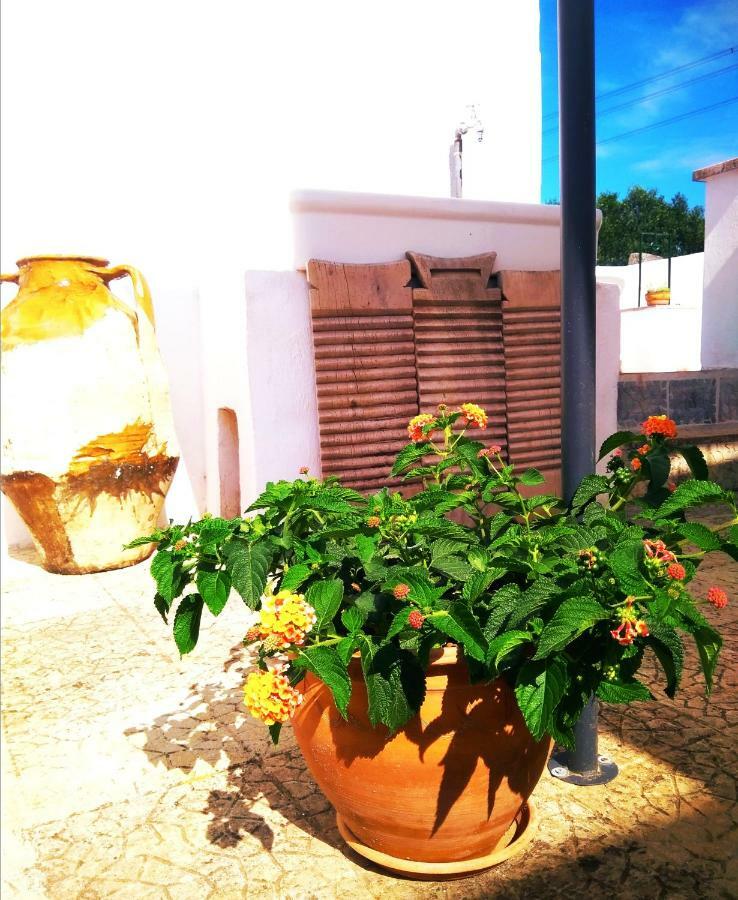 Masseria Cervellera Apartment เชจลีเมสซาปิกา ภายนอก รูปภาพ